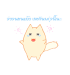 survey cat（個別スタンプ：40）
