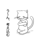 ねこにゃんのゆるい日常（個別スタンプ：36）