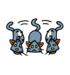 shock triangle cat（個別スタンプ：6）