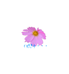 花のつぶやき（個別スタンプ：4）