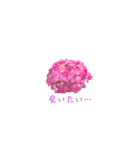 花のつぶやき（個別スタンプ：11）