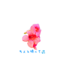 花のつぶやき（個別スタンプ：15）