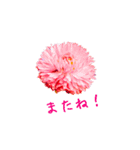 花のつぶやき（個別スタンプ：16）