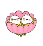 Cute Bunny Couple Ppoya ＆ PpoPpo Ver.2（個別スタンプ：21）