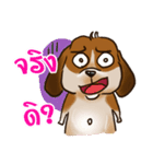 I'm Latte 2（個別スタンプ：16）