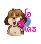 I'm Latte 2（個別スタンプ：21）