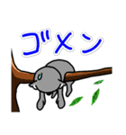 コアラですが何か？2（個別スタンプ：31）