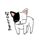 フレブルのちぃれん（個別スタンプ：13）