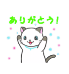 雨猫の日常会話（大阪弁mix）（個別スタンプ：1）