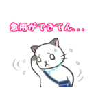 雨猫の日常会話（大阪弁mix）（個別スタンプ：16）