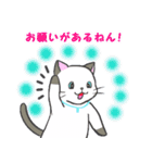 雨猫の日常会話（大阪弁mix）（個別スタンプ：21）