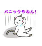雨猫の日常会話（大阪弁mix）（個別スタンプ：25）