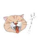 ネコさんのお顔（個別スタンプ：2）