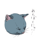 ネコさんのお顔（個別スタンプ：7）