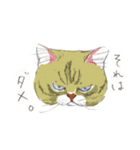 ネコさんのお顔（個別スタンプ：8）