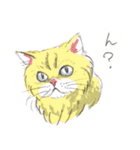 ネコさんのお顔（個別スタンプ：9）