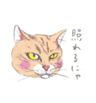 ネコさんのお顔（個別スタンプ：11）