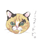 ネコさんのお顔（個別スタンプ：13）