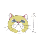 ネコさんのお顔（個別スタンプ：17）
