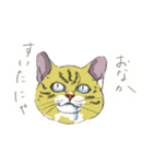 ネコさんのお顔（個別スタンプ：18）