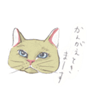 ネコさんのお顔（個別スタンプ：21）