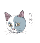ネコさんのお顔（個別スタンプ：22）