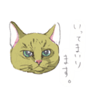 ネコさんのお顔（個別スタンプ：26）