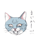 ネコさんのお顔（個別スタンプ：32）