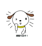 犬のスタンプ基本パック（個別スタンプ：17）