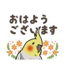 オカメインコ ピーちゃん Vol.2（個別スタンプ：1）