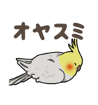 オカメインコ ピーちゃん Vol.2（個別スタンプ：8）