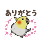 オカメインコ ピーちゃん Vol.2（個別スタンプ：14）