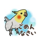 オカメインコ ピーちゃん Vol.2（個別スタンプ：17）