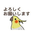 オカメインコ ピーちゃん Vol.2（個別スタンプ：19）