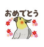 オカメインコ ピーちゃん Vol.2（個別スタンプ：35）