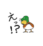 合鴨ガーちゃん（個別スタンプ：1）
