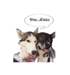 My lucky dogs（個別スタンプ：14）