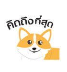 I'M DOG CORGI（個別スタンプ：2）