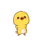 Cute Yellow Chick (EN)（個別スタンプ：2）