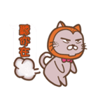 MR. MAO MAO（個別スタンプ：13）