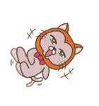 MR. MAO MAO（個別スタンプ：24）
