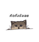 Meow meow is happy（個別スタンプ：2）