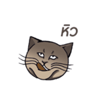 Meow meow is happy（個別スタンプ：6）