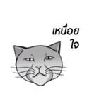 Meow meow is happy（個別スタンプ：8）