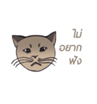Meow meow is happy（個別スタンプ：9）