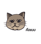 Meow meow is happy（個別スタンプ：11）