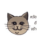 Meow meow is happy（個別スタンプ：15）