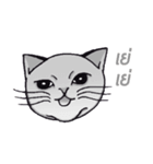 Meow meow is happy（個別スタンプ：16）