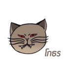 Meow meow is happy（個別スタンプ：19）