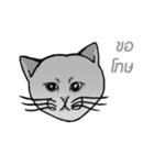 Meow meow is happy（個別スタンプ：20）